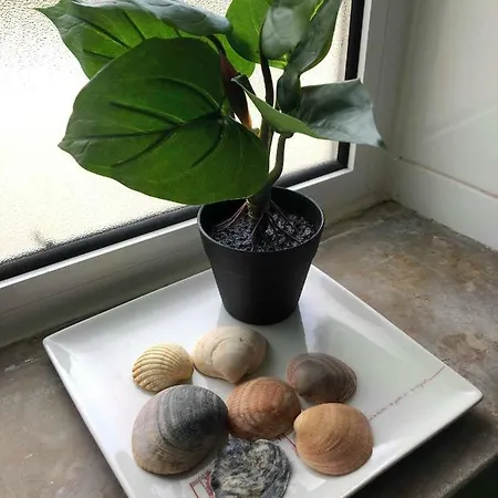 Apartmán Casa Do Marinheiro *